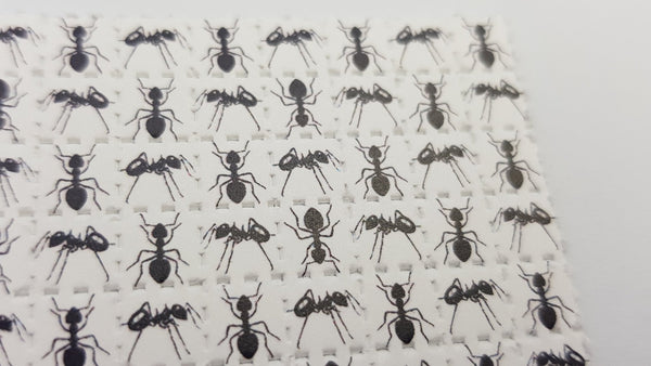 Ants Mini Blotter Art - Blotter Store