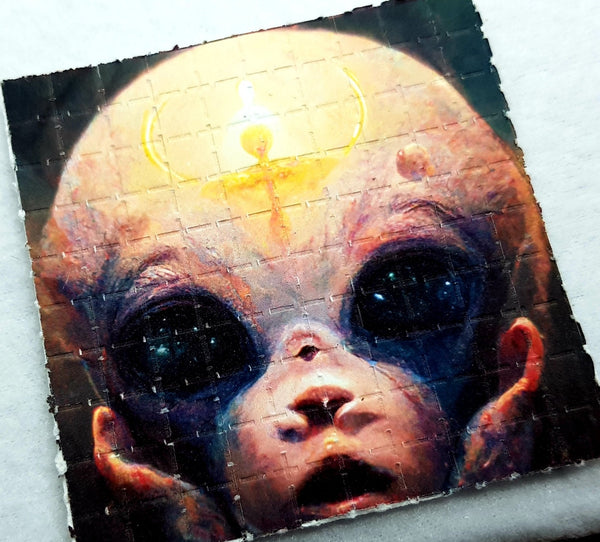 Enlighten Mini Blotter Art - Blotter Store