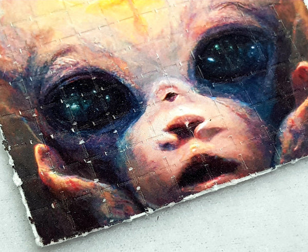Enlighten Mini Blotter Art - Blotter Store