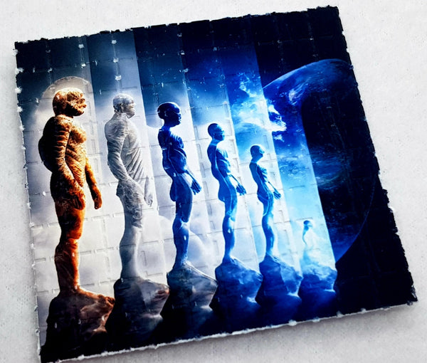 Evolution Mini Blotter Art - Blotter Store
