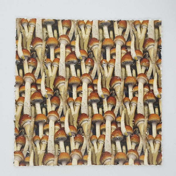 Magic Cubensis Mini Blotter Art - Blotter Store