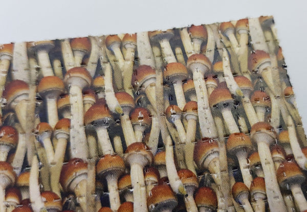 Magic Cubensis Mini Blotter Art - Blotter Store