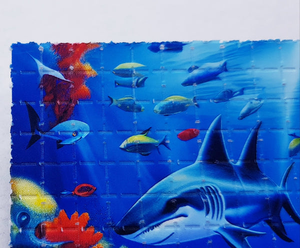 Ocean Mini Blotter Art - Blotter Store