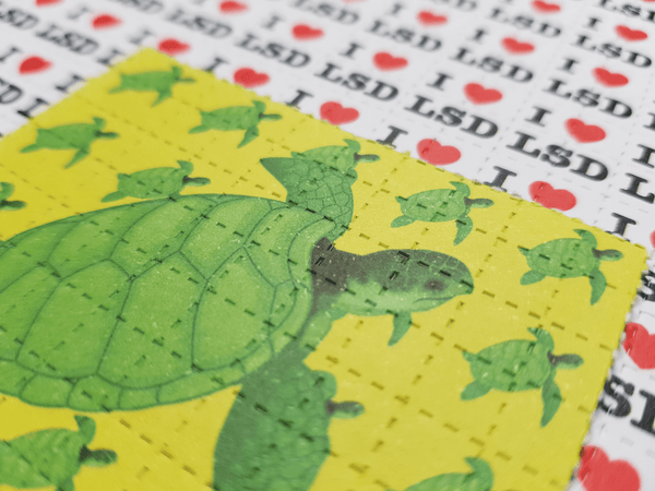 Turtle Mini Blotter Art - Blotter Store