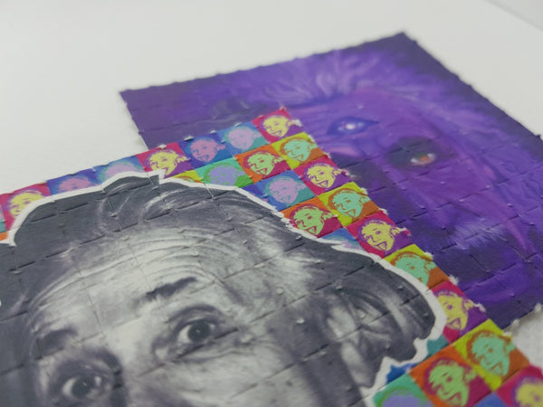 Albert Einstein Set of 2 - Blotter Store