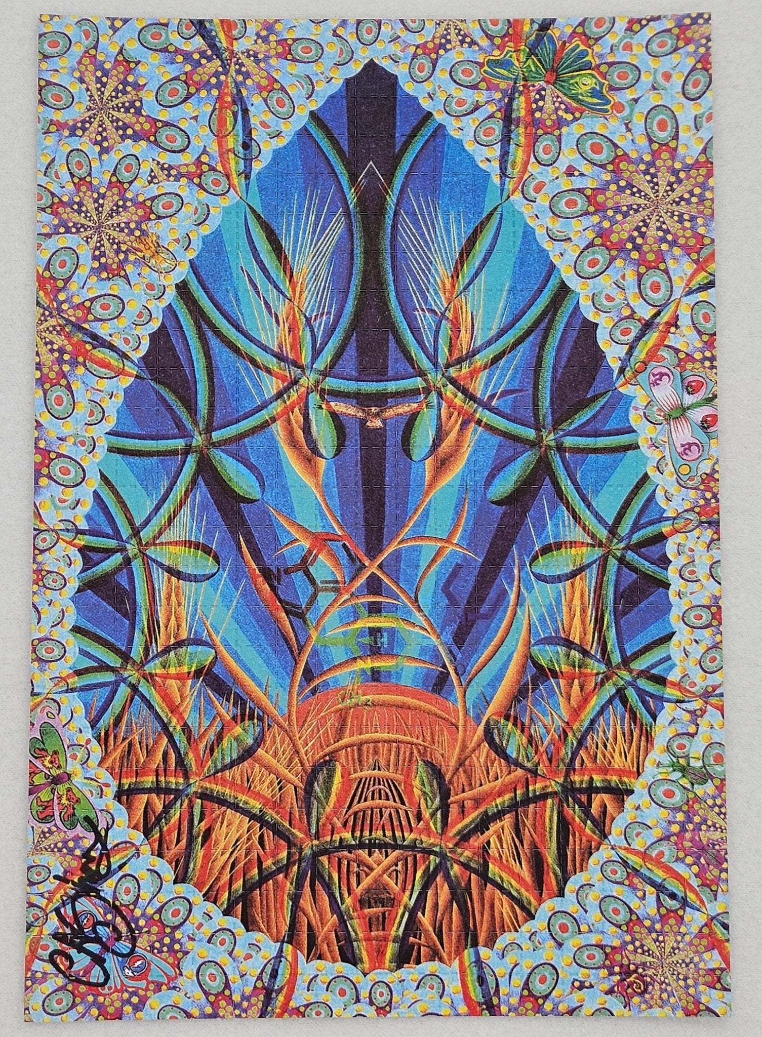 Acid Drops by Ciaran Shaman Blotter Art - Blotter Store