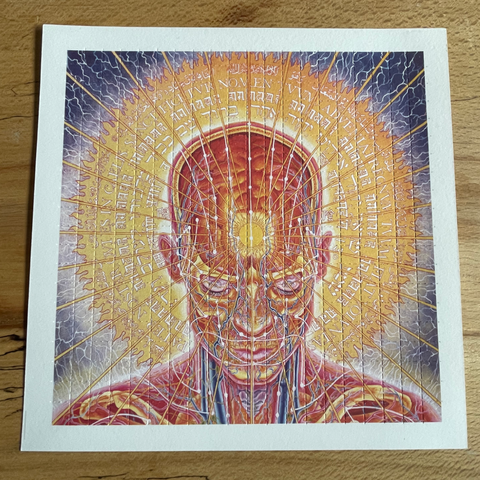 Alex Grey Praying Pineal Gland Double Sided Blotter Art