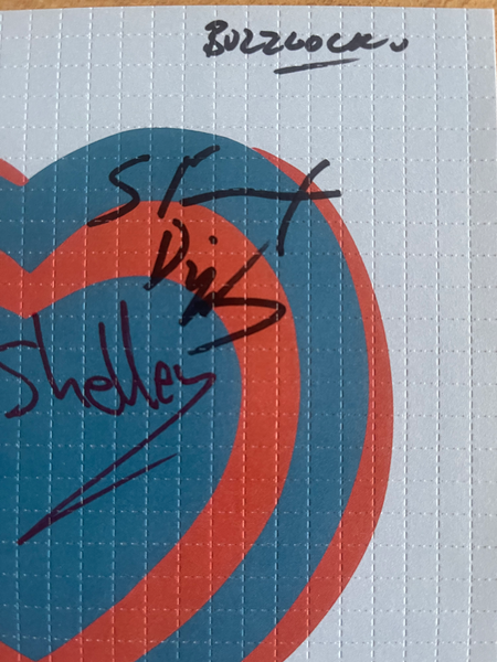 Buzzcocks Ever Fallen In Love Blotter Art Signed by The Band