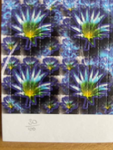 Pink Lotus by Lucifer Signed & Numbered #/100 Blotter Art