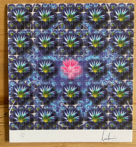 Pink Lotus by Lucifer Signed & Numbered #/100 Blotter Art