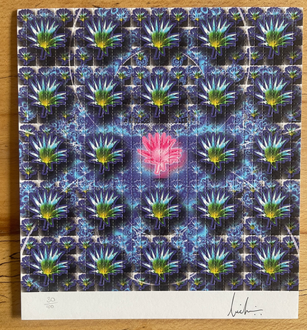 Pink Lotus by Lucifer Signed & Numbered #/100 Blotter Art