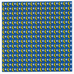 Moon 25
