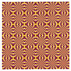 Optical Illusion Blotter Art