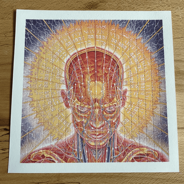 Alex Grey Praying Pineal Gland Double Sided Blotter Art - Blotter Store