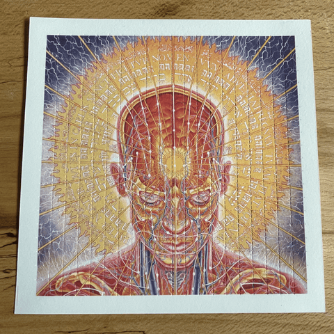 Alex Grey Praying Pineal Gland Double Sided Blotter Art - Blotter Store