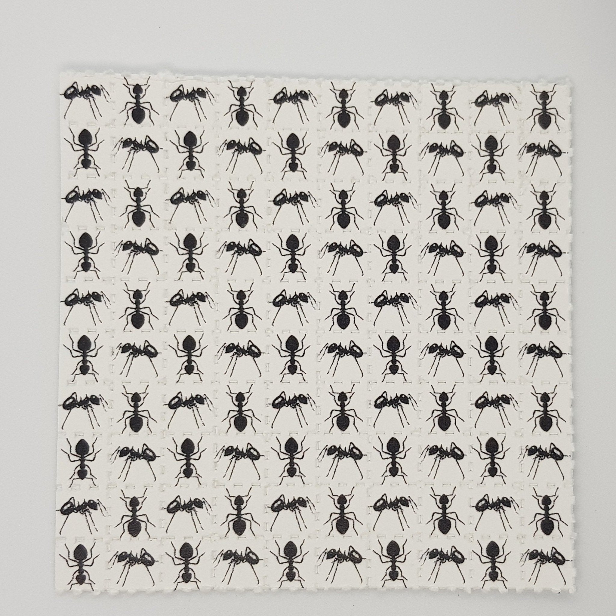 Ants Mini Blotter Art - Blotter Store