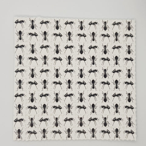 Ants Mini Blotter Art - Blotter Store