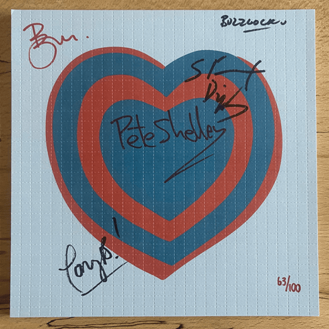 Buzzcocks Ever Fallen In Love Blotter Art Signed by The Band - Blotter Store