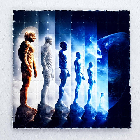 Evolution Mini Blotter Art - Blotter Store
