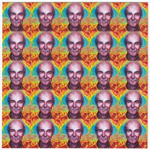 Kaleido Face Blotter Art