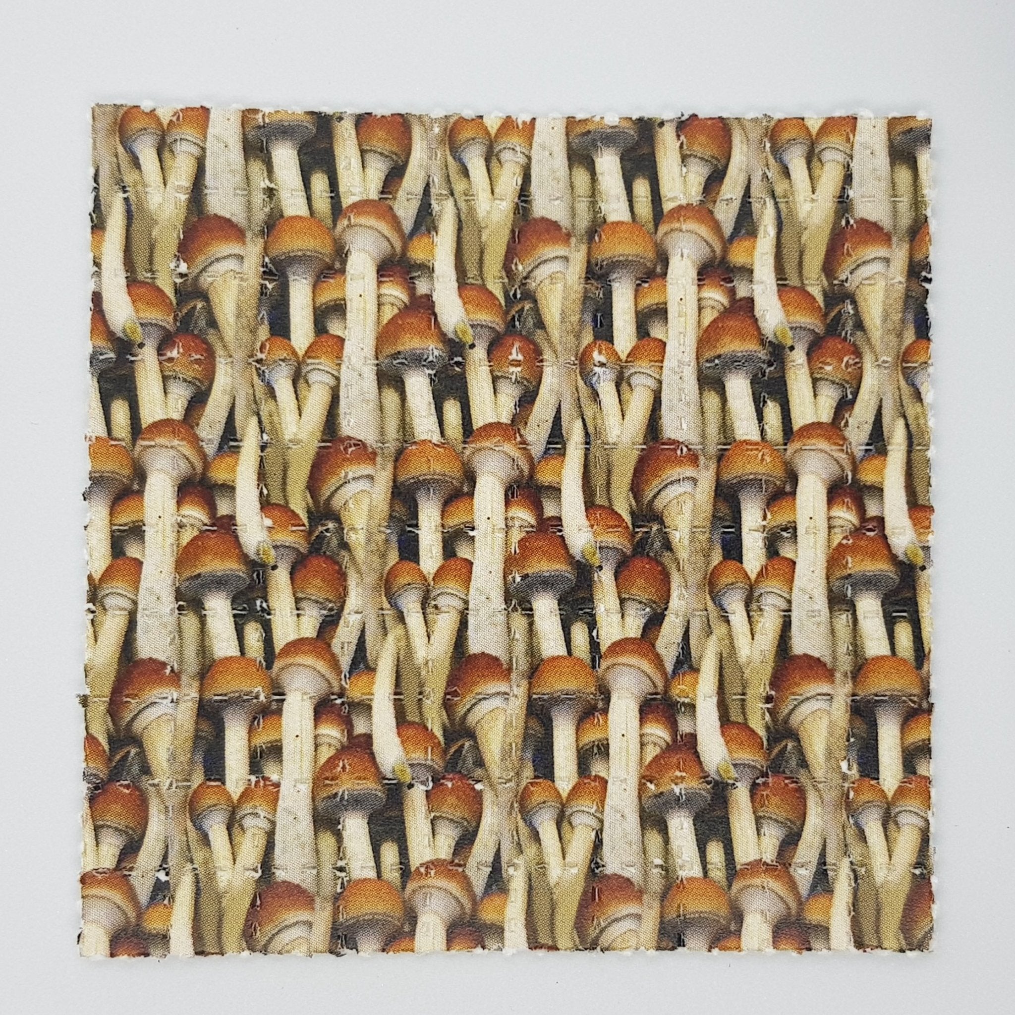 Magic Cubensis Mini Blotter Art - Blotter Store