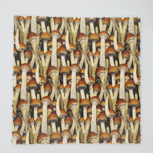 Magic Cubensis Mini Blotter Art - Blotter Store
