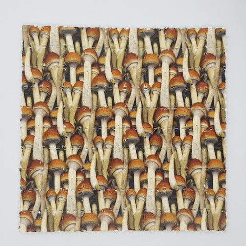 Magic Cubensis Mini Blotter Art - Blotter Store
