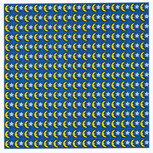 Moon 25 - Blotter Store