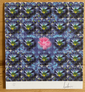 Pink Lotus by Lucifer Signed & Numbered #/100 Blotter Art - Blotter Store