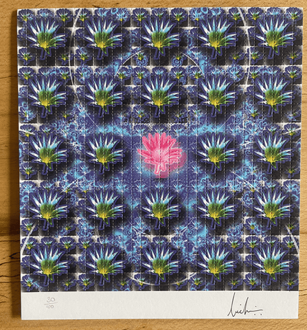 Pink Lotus by Lucifer Signed & Numbered #/100 Blotter Art - Blotter Store