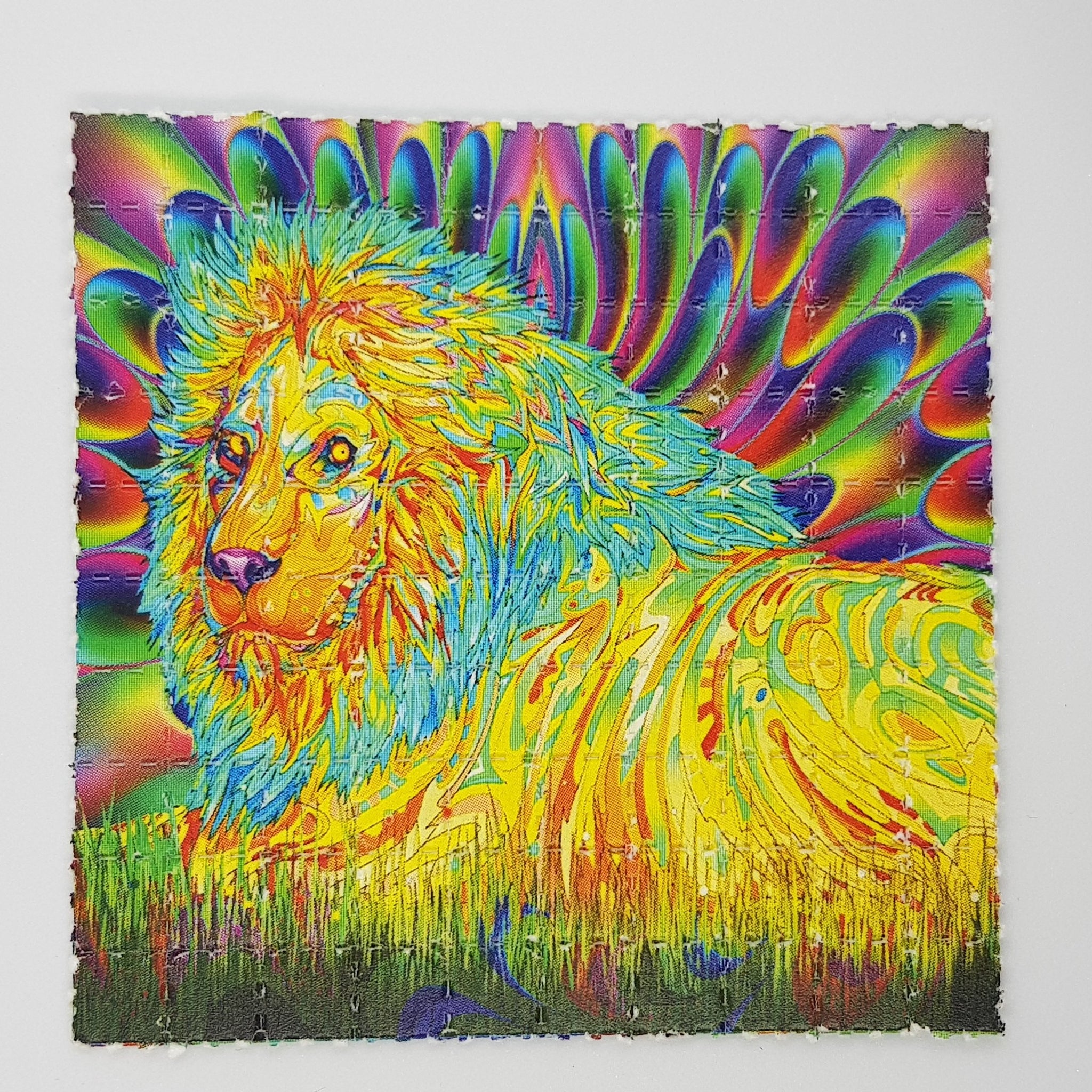 Lion Blotter Art