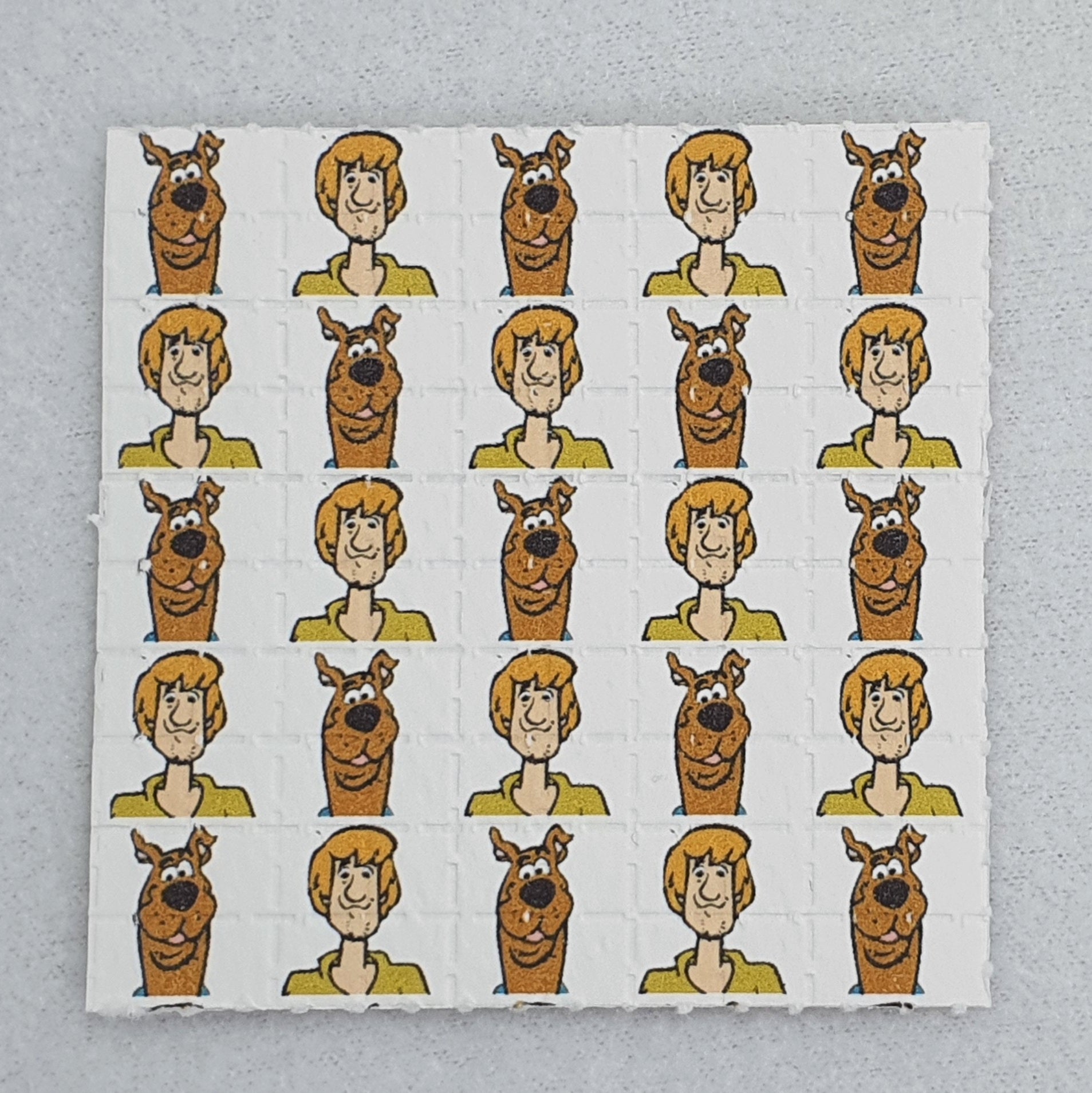 Scooby and Shaggy - Blotter Store