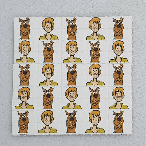 Scooby and Shaggy - Blotter Store